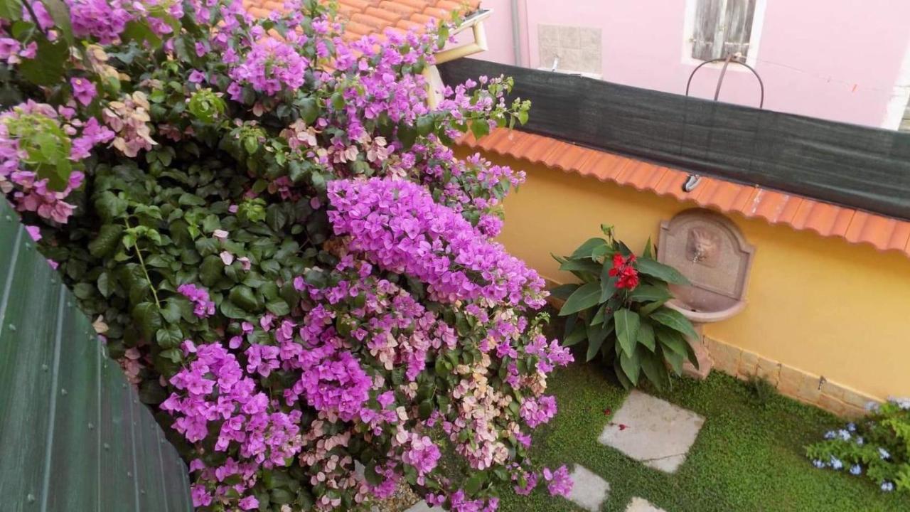 House Justina Villa Zadar Exteriör bild